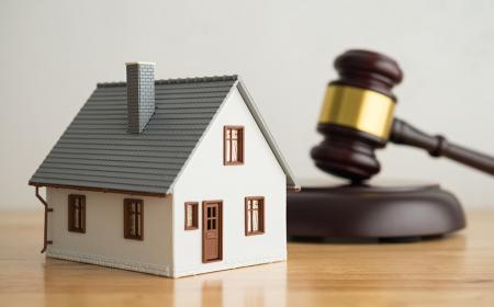 Tax Auction
